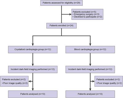 Microcirculatory Response to Blood vs. Crystalloid Cardioplegia During Coronary Artery Bypass Grafting With Cardiopulmonary Bypass